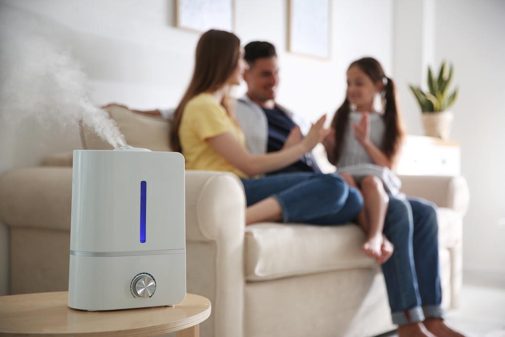 Humidifier 15 Good Reasons Why You Should Get One A air Purifier